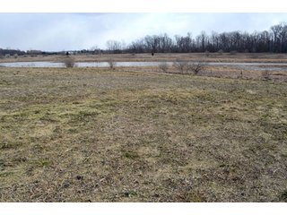 Property photo 40 - 127 Acres Offered in 8 Tracts - Allen & Dekalb County Land